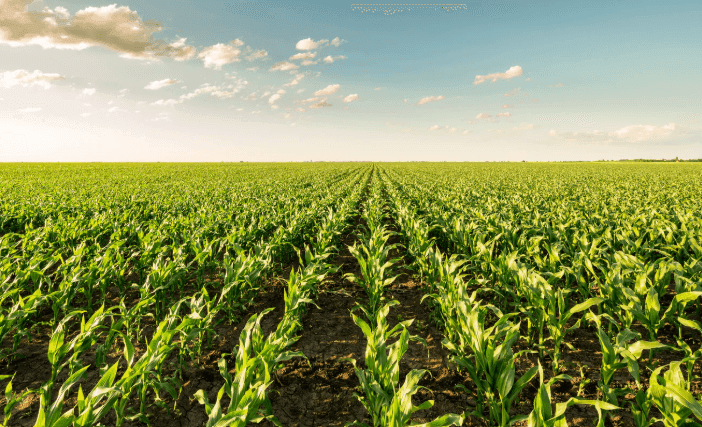 2026 AgriVision Field Day